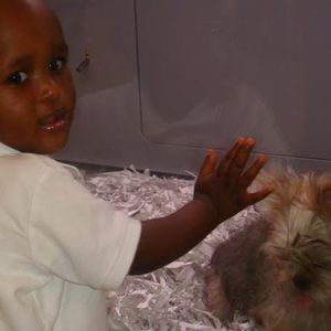 Meet your Posher, Bassoly